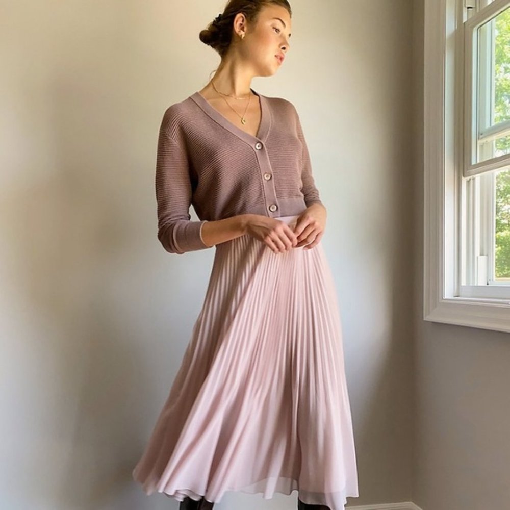 NWOT Aritzia Twirl skirt XS